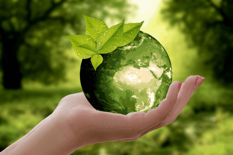Como a Economia Circular Está Transformando o Mundo