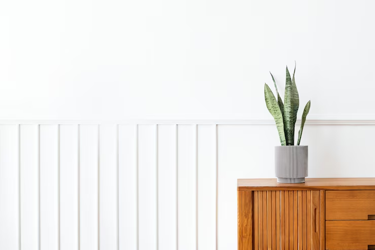 Simplifique Sua Vida: Dicas de Minimalismo Que Transformam