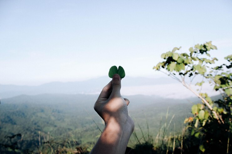 Explore o Turismo Consciente e Experiências Autênticas Globais