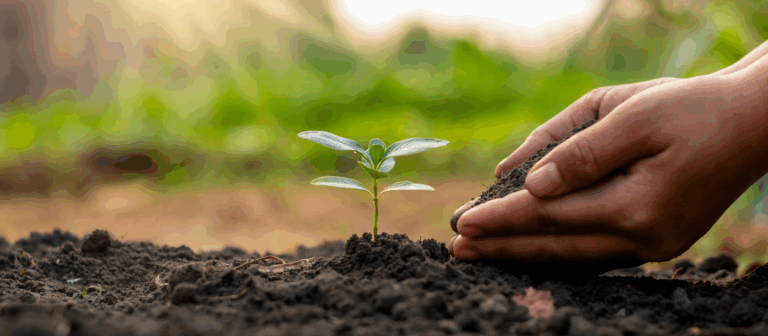 Soluções Inovadoras para a Crise Climática Global