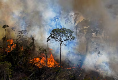 Impactos da Crise Climática na Segurança Global