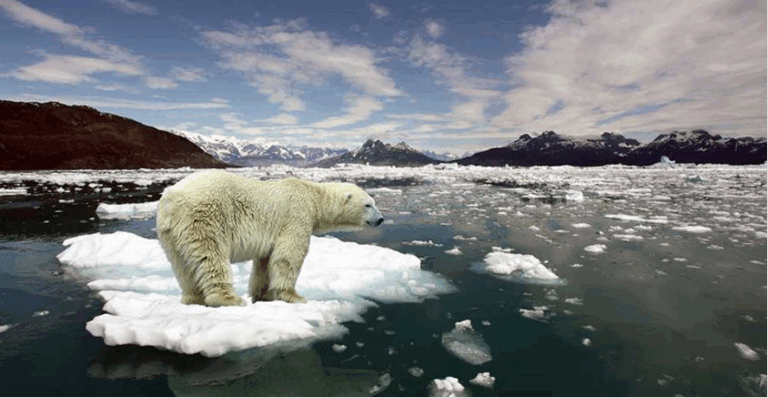 O Impacto Global das Mudanças Climáticas: Um Desafio Urgente