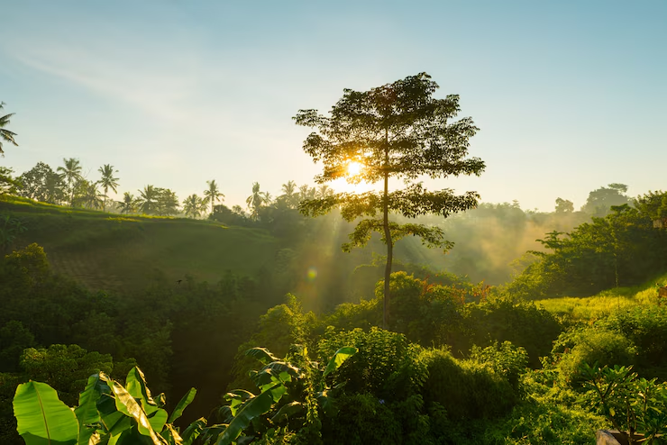 Sustentabilidade em Ação: Como o Mundo Está Mudando