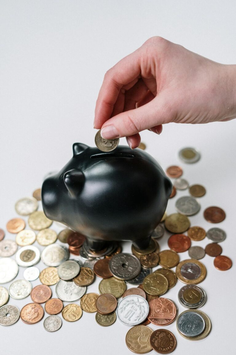 Como Economizar em Tempos de Alta da Inflação