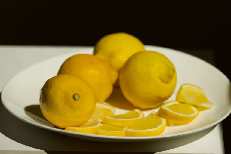 Alimentos que Fortalecem o Sistema Imunológico