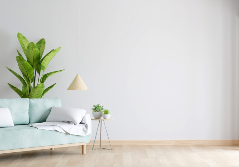 Simplifique Sua Vida: O Guia Definitivo do Minimalismo