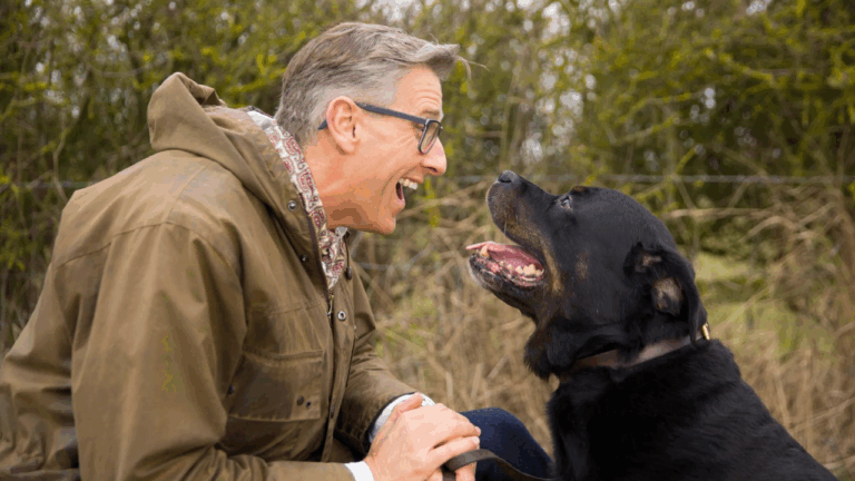 cachorro, curiosidades, lifestyle, animais de estimação, ciência