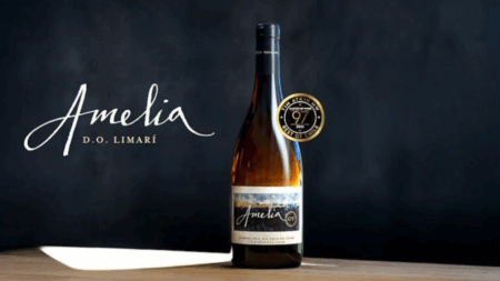 Dia dos Pais, vinhos, presentes, Don Melchor, Amelia, lifestyle