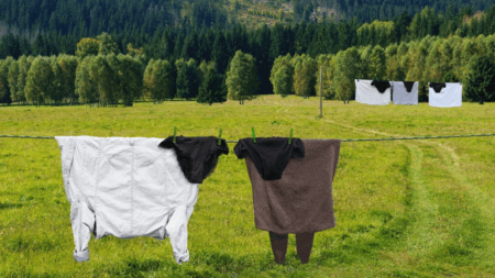 Helga Stentzel, curiosidades, lifestyle, arte, roupas, moda masculina, mundo