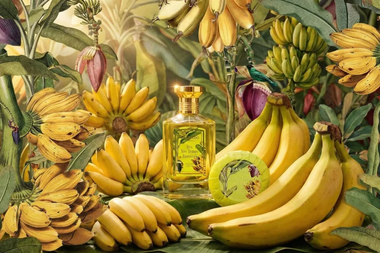 Yes, Nós Temos Banana!